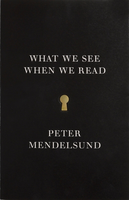 What We See When We Read (Paperback) By Peter Mendelsund