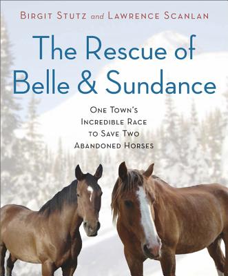 The Rescue of Belle and Sundance: One Town's Incredible Race to Save Two Abandoned Horses (Hardcover) By Birgit Stutz, Lawrence Scanlan